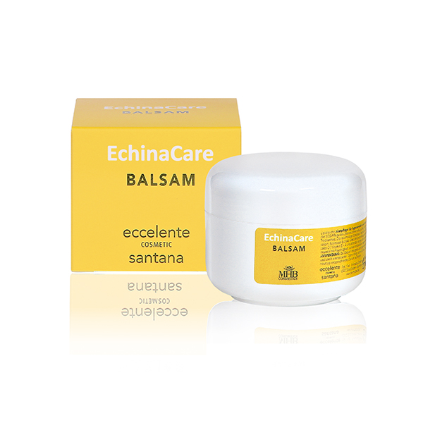 EchinaCare Balsam (Massage-Balsam) 50 ml